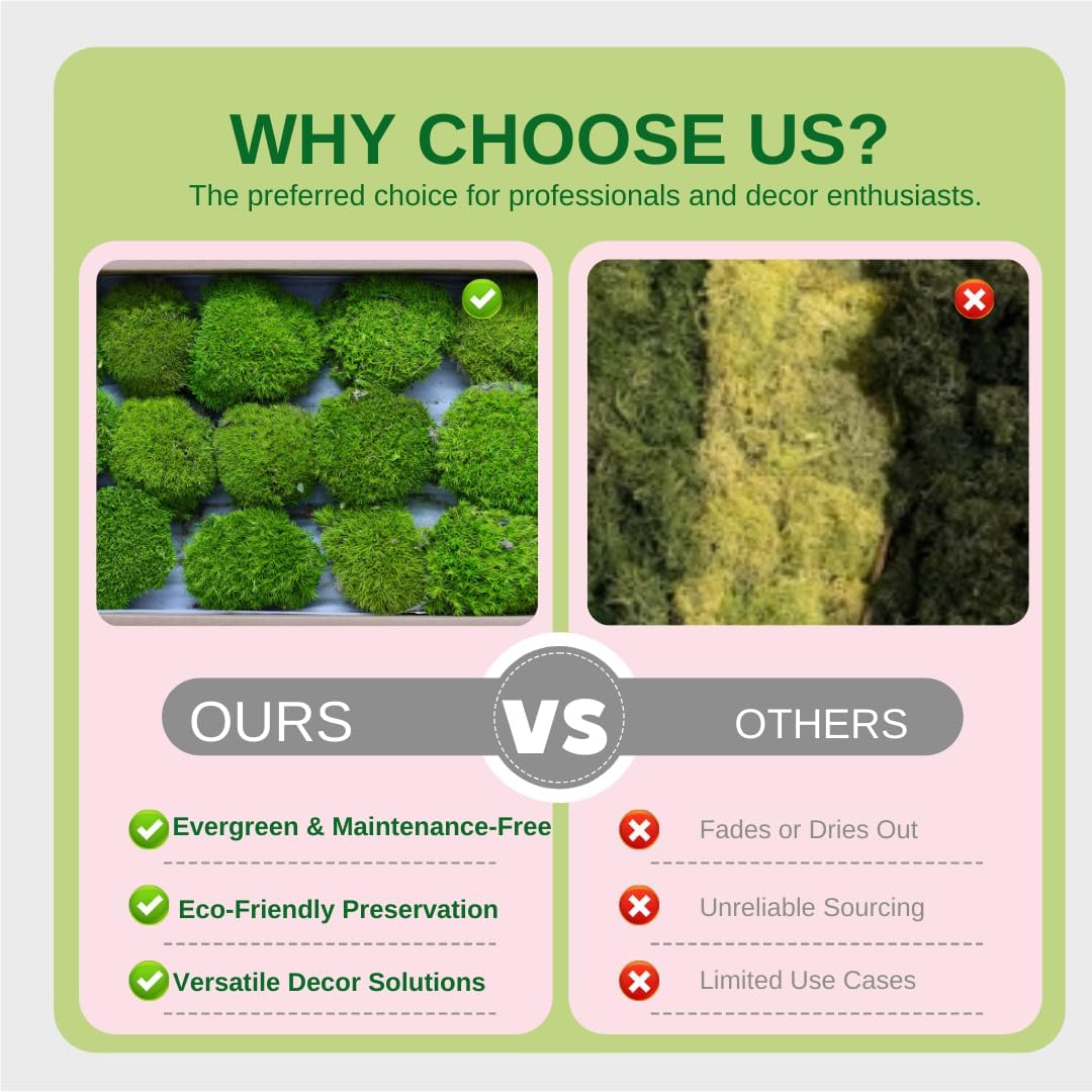 Preserved Moss for DIY Crafts - 1.5 sq.ft Natural Dried Moss for Terrarium, Fairy Garden, Home Decor, Wall Art, Floral Arrangements - Flexible Real for Creative Projects, Green