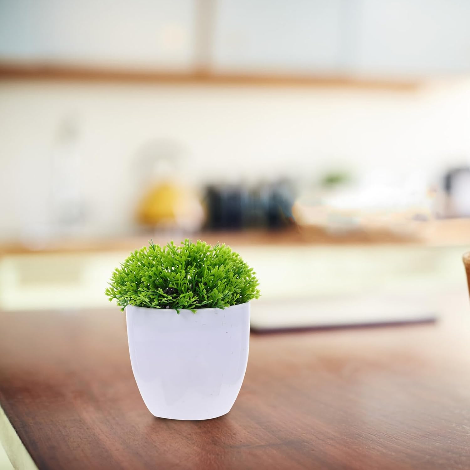 4Pcs Mini Faux Bonsai Plant Decor Artificial Succulent for Desktop Bookshelf Windowsill Decoration Vivid Realistic Greenery Ornament for Home Office