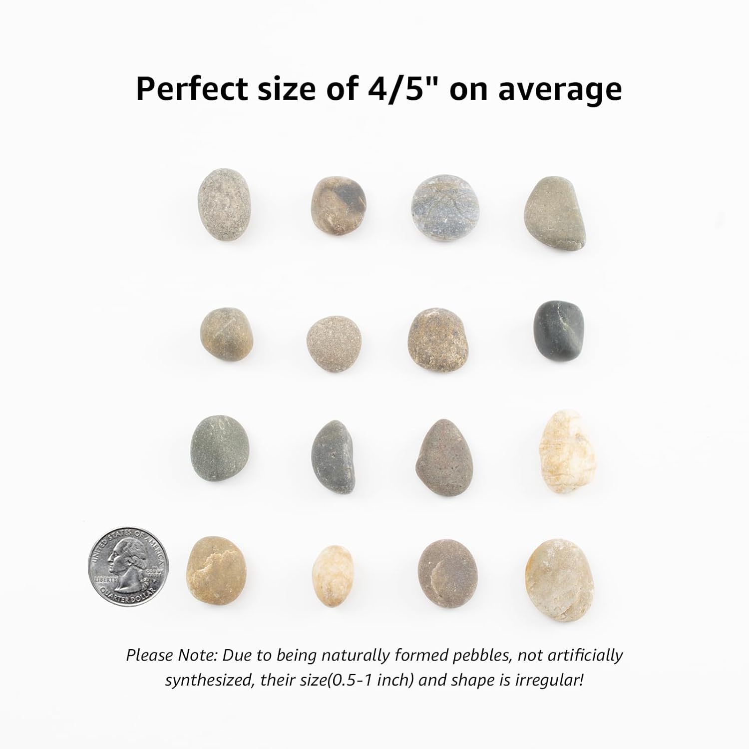 40 LBS Natural Pebbles - 1/2-1 inch Natural River Stones, Screened Decorative River Rocks for Landscaping, Garden Pathway, Plant Stones, Craft Walkways, and Outdoor Decorative