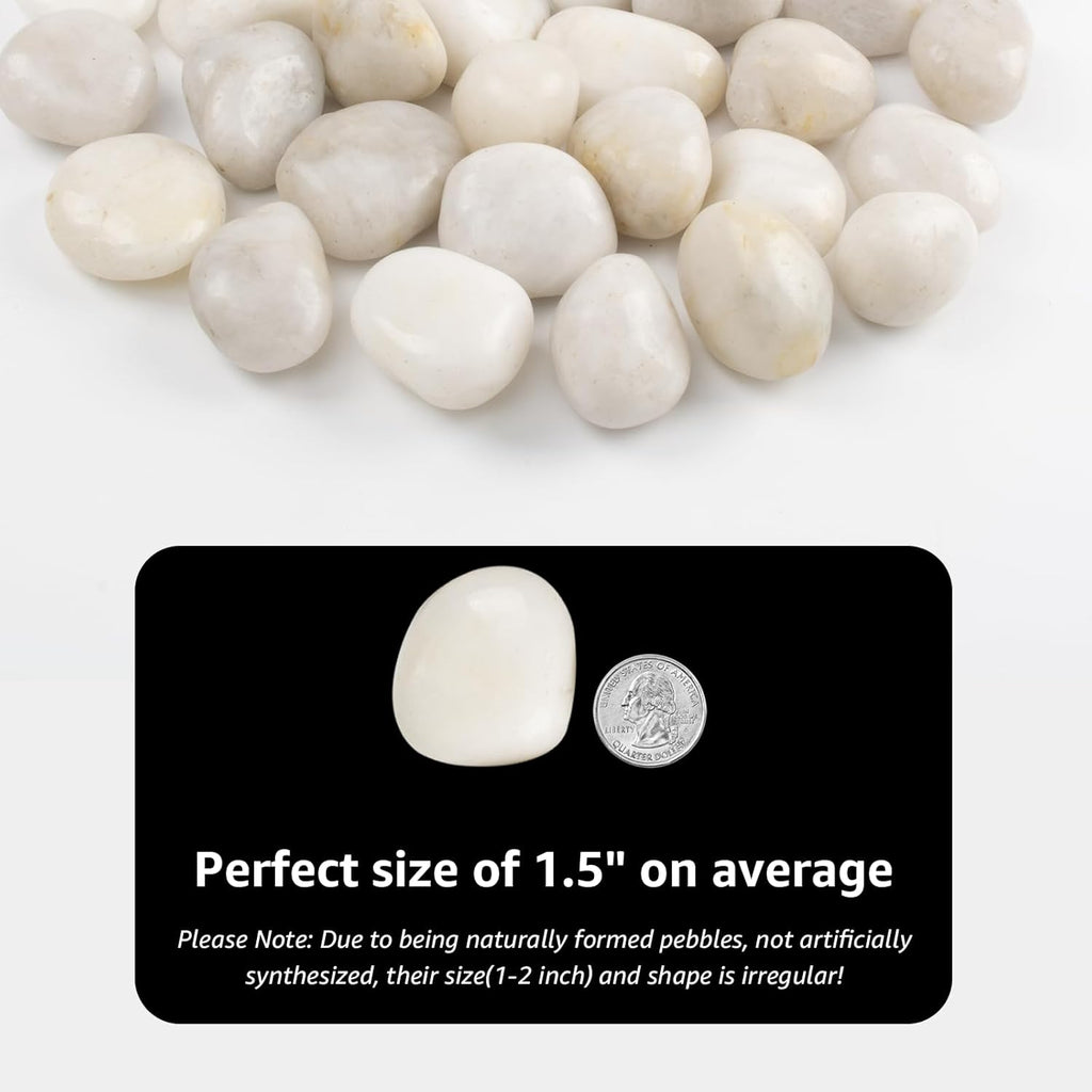 20lbs River Rocks - 1-2Inch Decorative Rocks for Potted Plants, River Rocks for Aquariums, and White Rocks for Landscaping (Weight : 20 LB, White)
