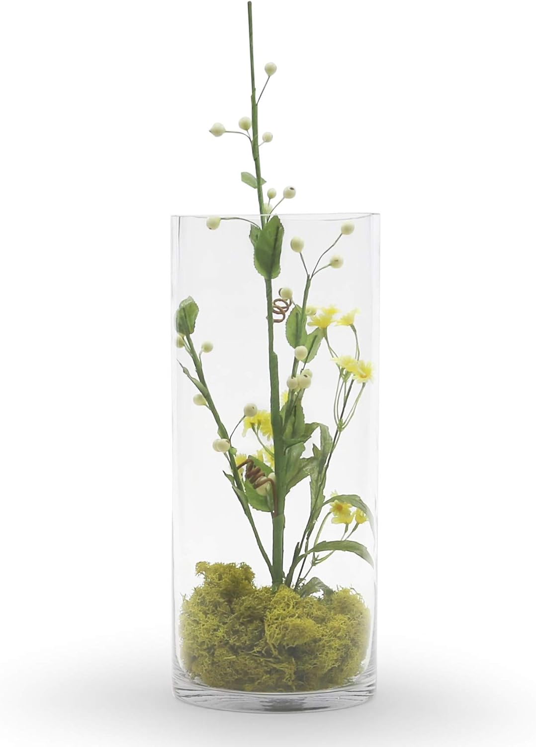 WGV Cylinder Vase Bulk, Width 6", Height 12", Clear Glass Container Terrarium Candle Holder for Wedding Centerpiece, Party Event, Home Office Decor, 6 Pieces