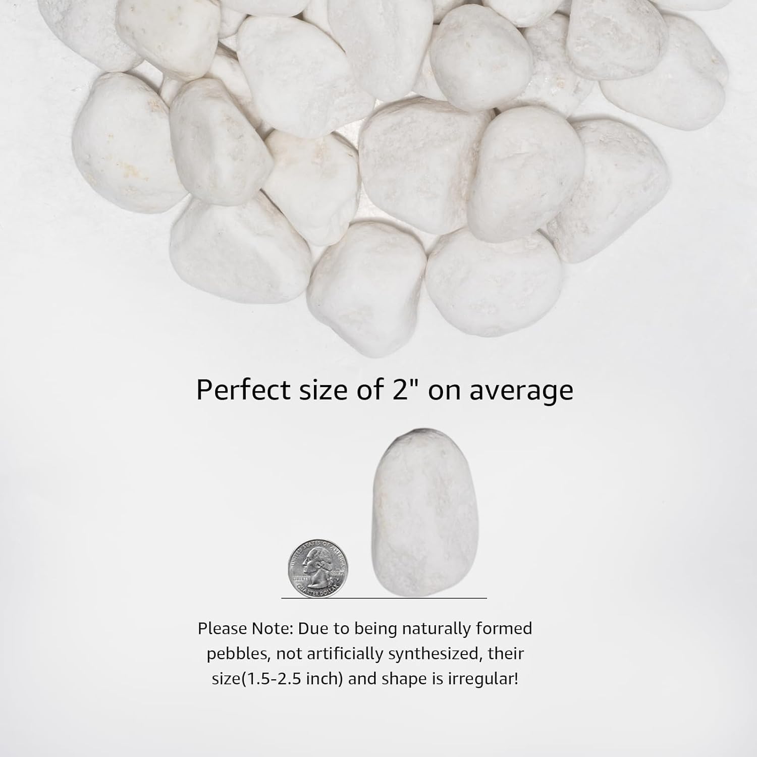 White Natural River Rocks, 1.5-2.5 Inch Decorative Stones for Plants, Garden, and Landscaping – 10LB, Ideal for Fish Tanks, Vases, Crafting, Home Decor, and Outdoor Landscaping