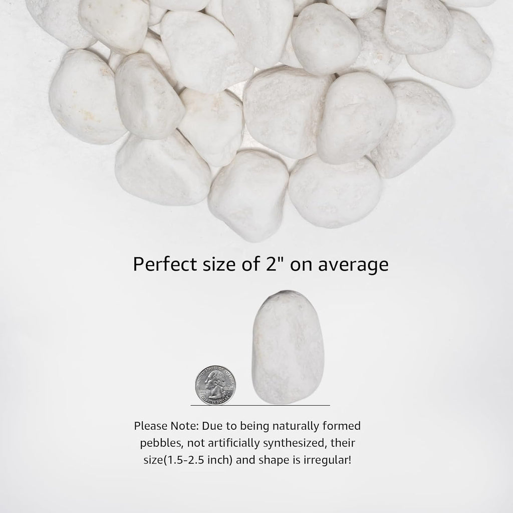 White Natural River Rocks, 1.5-2.5 Inch Decorative Stones for Plants, Garden, and Landscaping – 40LB, Ideal for Fish Tanks, Vases, Crafting, Home Decor, and Outdoor Landscaping
