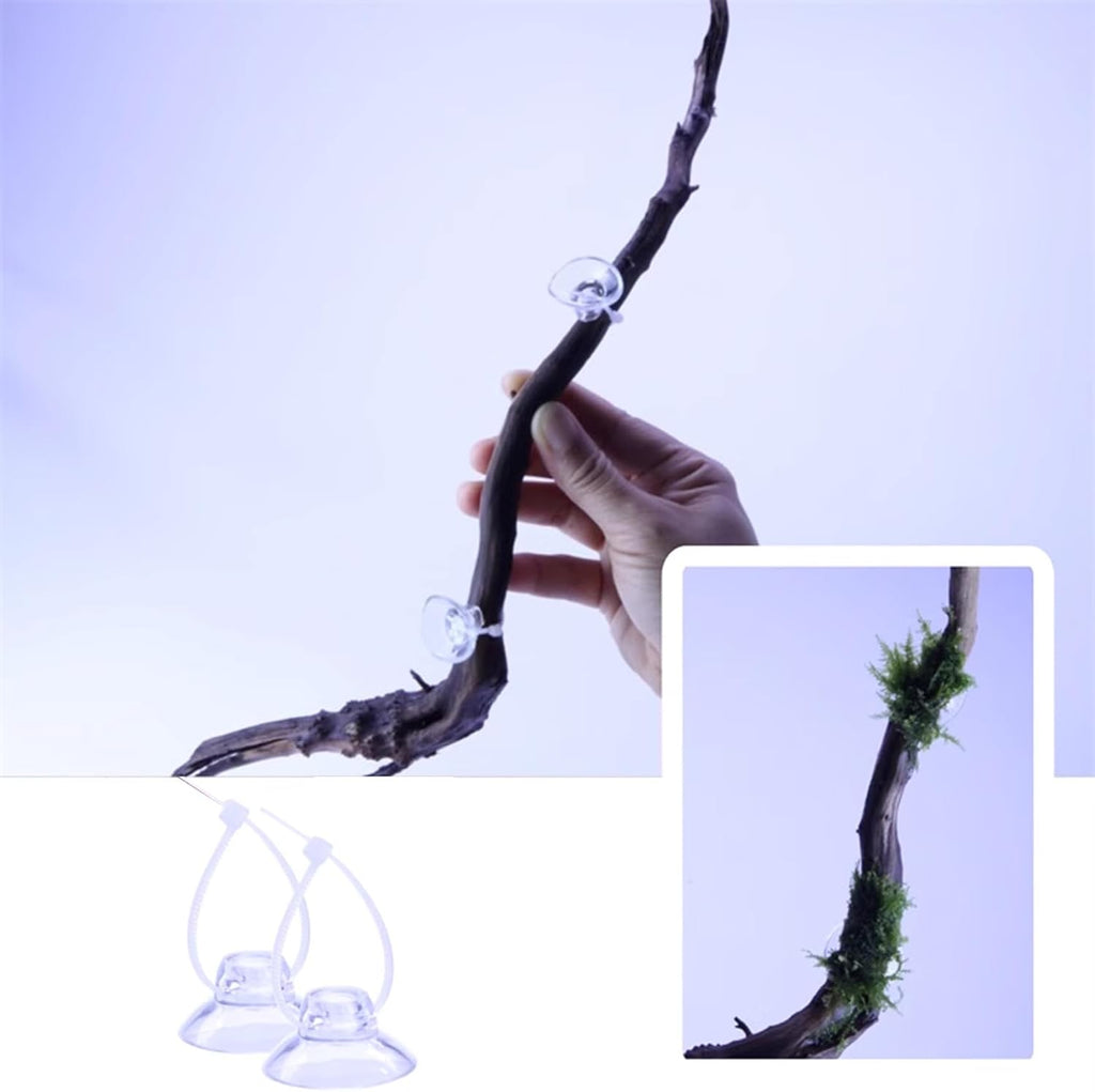 20PCS Aquarium Suction Cups with 20PCS Adjustable Cable Ties for Plants, Planter, Binding Moss Shrimp Nest, Fish Tank Suction Cups