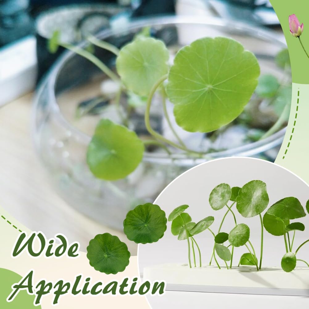 30PCS Artificial Water Lily Leaves,Small Realistic Floating Water Lily Pads, Pond Plant Lotus Leaves Suitable for Fish Tank,Terraces,Pool,Aquarium Decoration(1.93inch)