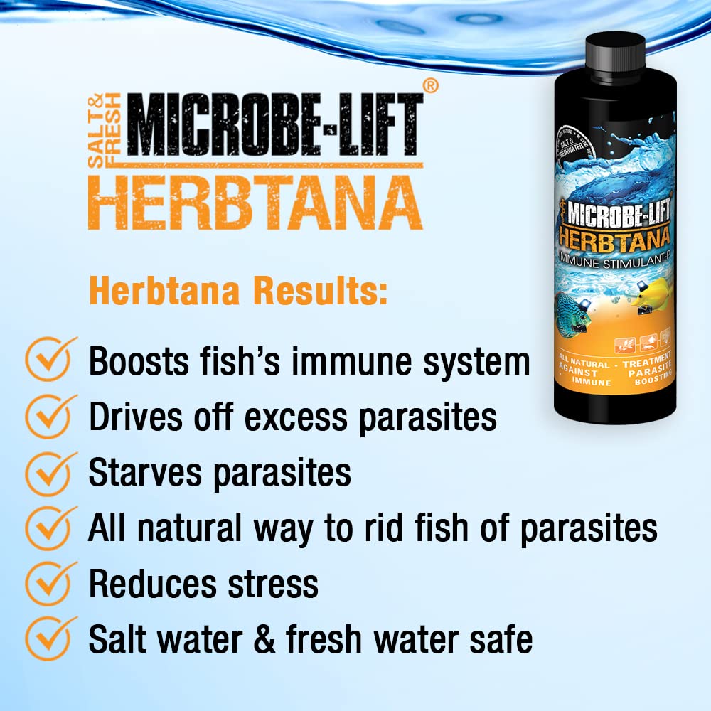 MICROBE-LIFT Herbtana Fish Medicine, Immune Booster and Parasite Treatment for Aquarium Fish Health, Ich Treatment, Use in Freshwater Tank or Saltwater Aquarium, 8 Ounces (HERB08)