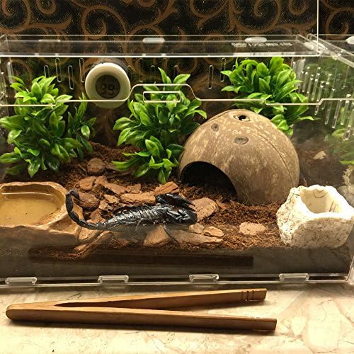 Hypeety Natural Coconut Reptile Habitat Hideout for Reptile, Lizard, Spider, Snake, Aquarium, Fish Hide Cave Hermit Crabs, Hamsters Natural Coco Hut Organic Non-Toxic Aquarium Decoration