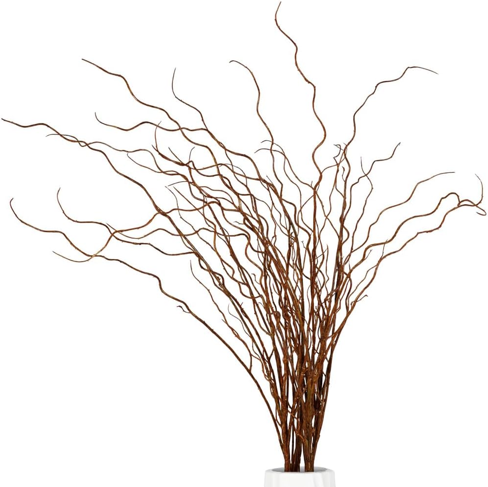 Artificial Plants Faux Greenery Eucalyptus Stems,Faux Branches for Vase Filler,Artificial Ficus Twig Branches Stems for Shop Garden Office Home Décor (3, Stems02)