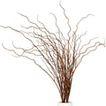 Artificial Plants Faux Greenery Eucalyptus Stems,Faux Branches for Vase Filler,Artificial Ficus Twig Branches Stems for Shop Garden Office Home Décor (6, Stems02)