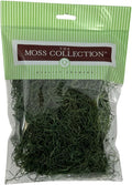 Preserved Spanish Moss - Decorative Dried Moss for Crafts, Home Decor, Art, Design & DIY Projects - for Indoor Use - Forest Green - Small Size