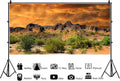 Laeacco 7x3ft Dusk Desolate Desert Photography Background Sunset Glow Cactuses Weathered Mountains Scenic Gobi Backdrop Wedding Photo Shoot Indoor Decors Wallpaper Party Photo Studio Props