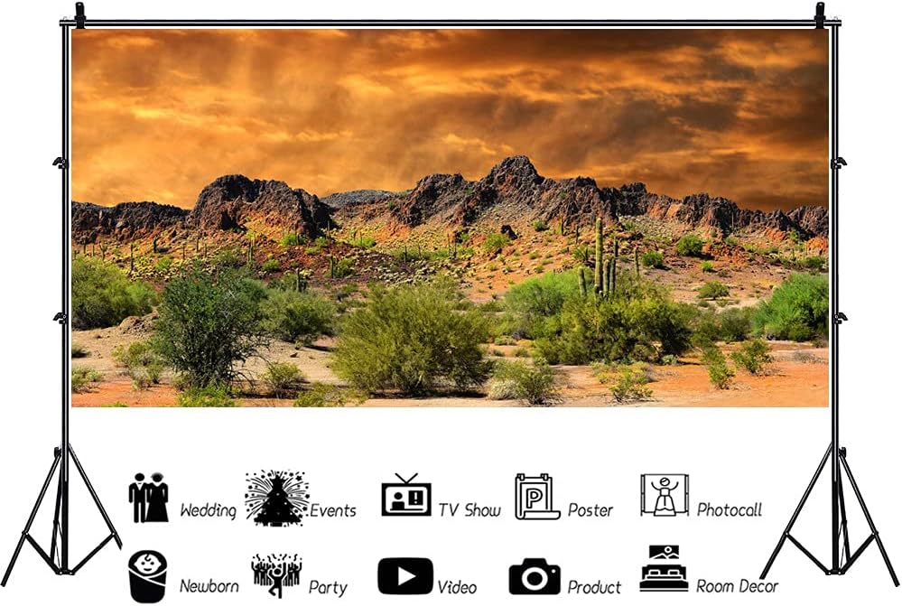 Laeacco 7x3ft Dusk Desolate Desert Photography Background Sunset Glow Cactuses Weathered Mountains Scenic Gobi Backdrop Wedding Photo Shoot Indoor Decors Wallpaper Party Photo Studio Props