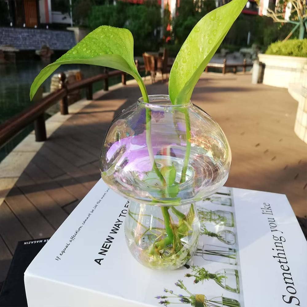 Wall Hanging Mushroom Vase, Small Plant Propagation Station Mushroom Glass Planter Terrarium Indoor Hydroponic Flower Holder for Elegant Home Decor Thanksgiving Gifts, Colorful, 2 PCS