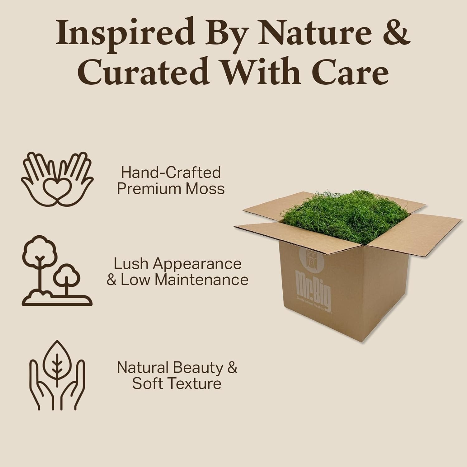 Preserved Spanish Moss - Decorative Moss - Dried Moss for Crafts, Home Decor, Art, Design & DIY Projects - for Indoor Use - Green Apple - Standard Box - Covers 10-12 sq. ft.