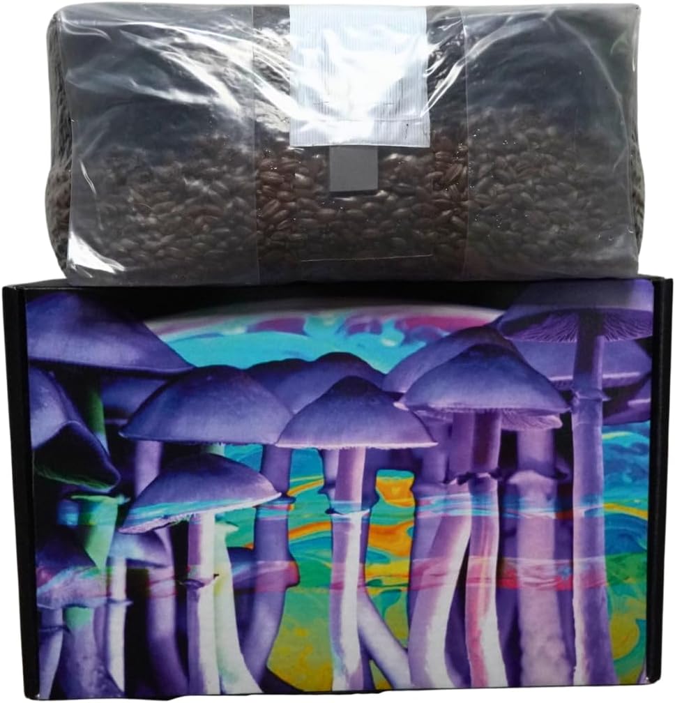 6 Pound Mushroom Grow Bag - All in One Grow Kit in A Bag - Sterilized Grain Spawn and Bulk Substrate - Injector Port - (Pack of 1)