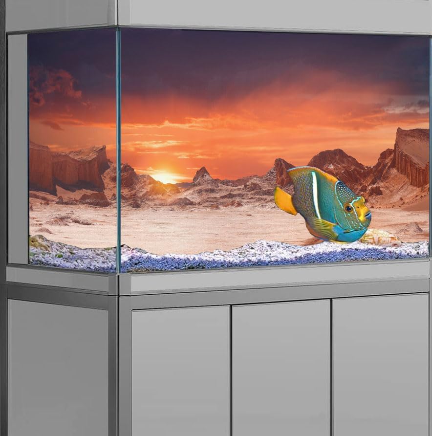 60X24IN Sun and Desert Moon Themed Reptile Habitat on Orange Durable Decorative Background, Terrarium Background with 10EVA Double-Sided Tape