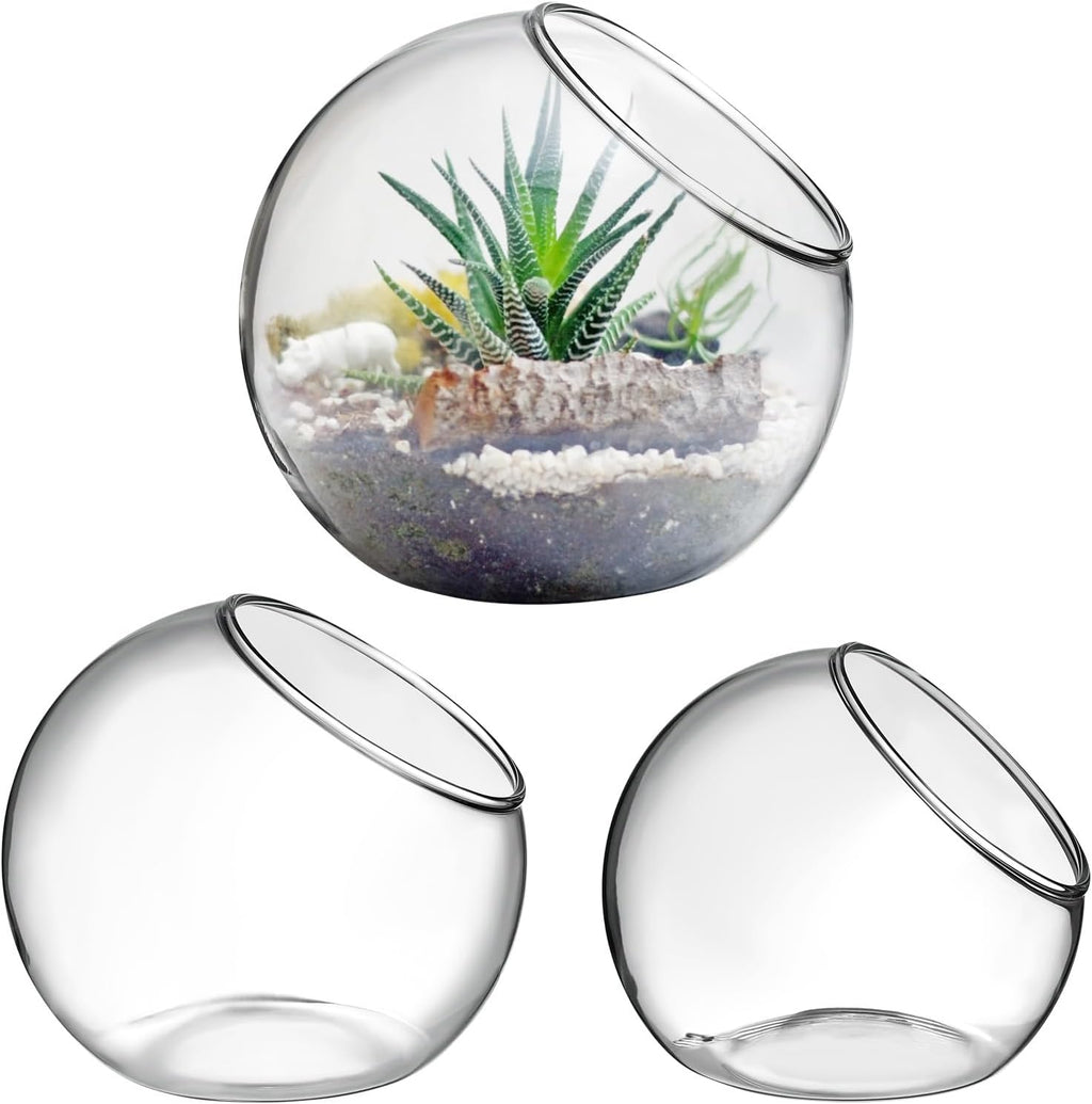 3PCS Glass Terrariums for Plants Glass Fish Bowls Plant Terrarium Air Plant Planter Desktop Bubble Bowls Clear Vases Air Plants Holders Succulent Terrarium