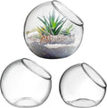 3PCS Glass Terrariums for Plants Glass Fish Bowls Plant Terrarium Air Plant Planter Desktop Bubble Bowls Clear Vases Air Plants Holders Succulent Terrarium
