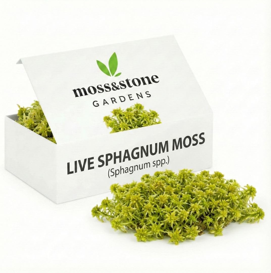 Live Sphagnum Moss (Sphagnum spp.) for Terrariums (1 sq ft)