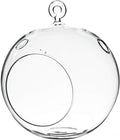 WGV Hanging Terrarium Globe, Width 6", Height 6.5", DIY Air Succulent Planter, Clear Glass Vase Orb with Flat Bottom, Candle Holder for Windowsill Outdoor Garden Decor, 1 Piece