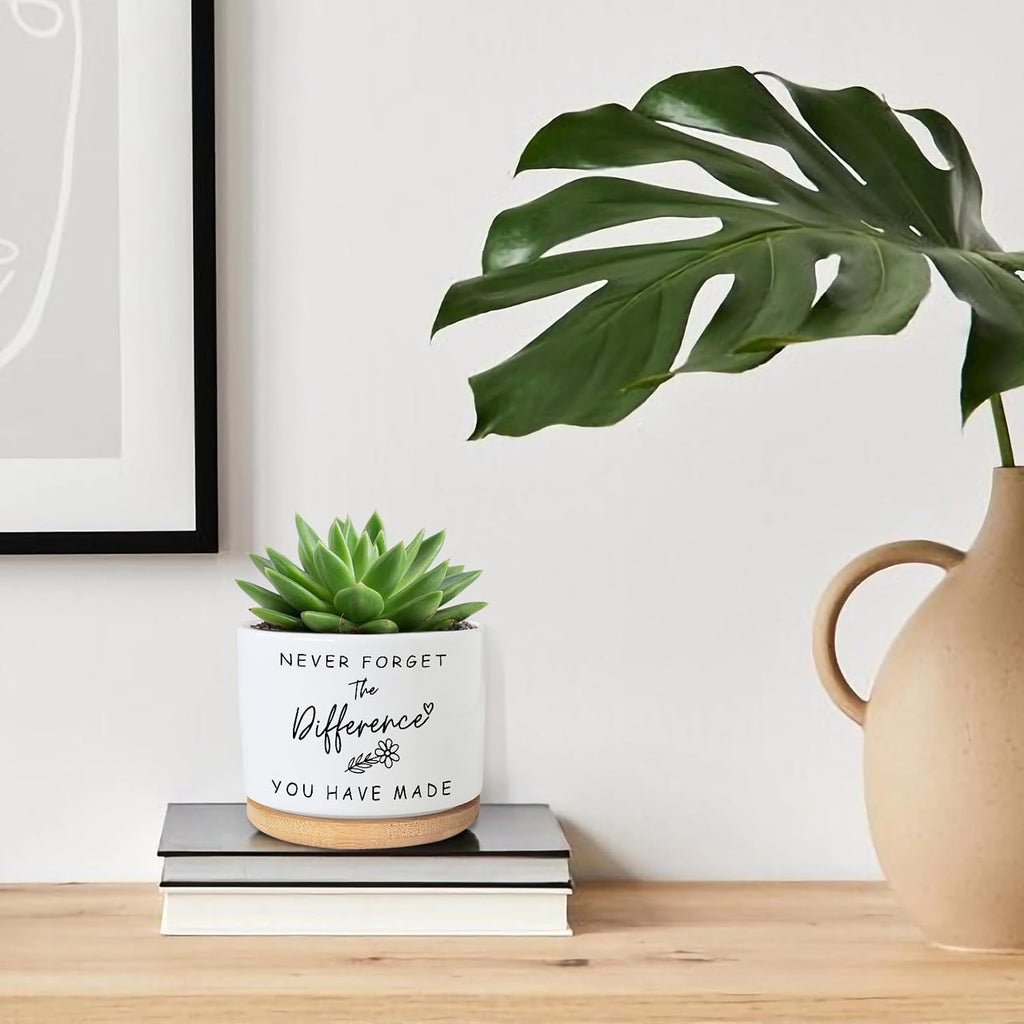 Funny Succulent Planters for Indoor Plants, Coworker Thank You Gifts, Farewell Going Away Appreciation Inspirational 3.5 inch Ceramic Cactus Planter Pots for Women Men Friend Boss Lady (No Plants)