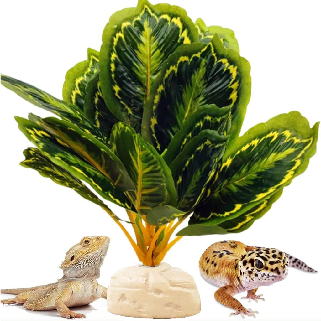 Reptile Decor Plants,Amphibian Habitat Decor,Artificial Plants for Bearded DragonTank Accessories Suitable for Leopard Gecko Lizard Chameleon Snake Tortoise (Calathea makoyana -A)