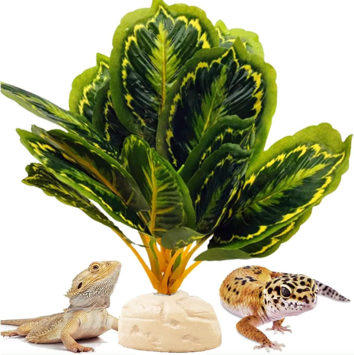 Reptile Decor Plants,Amphibian Habitat Decor,Artificial Plants for Bearded DragonTank Accessories Suitable for Leopard Gecko Lizard Chameleon Snake Tortoise (Calathea makoyana -A)