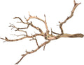 Koyal Wholesale California Driftwood with Natural Brown Branches, 36-Inch Large Driftwood Decor