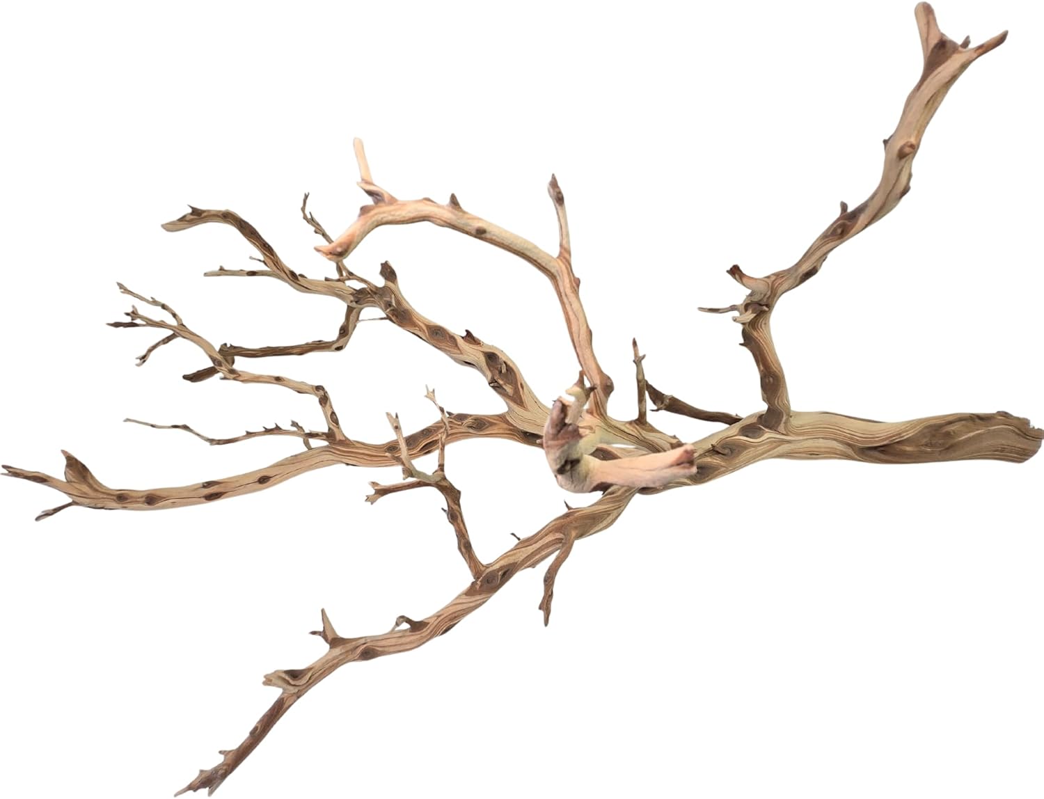 Koyal Wholesale California Driftwood with Natural Brown Branches, 36-Inch Large Driftwood Decor