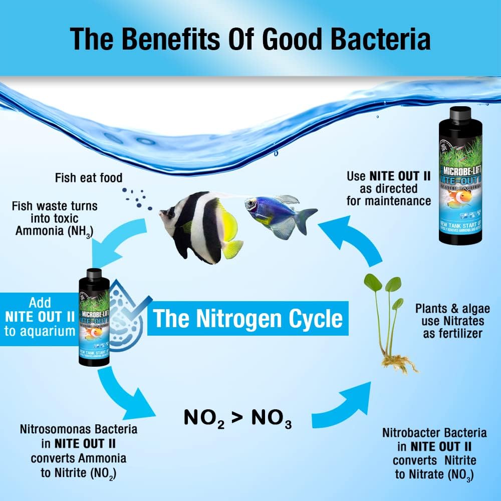 MICROBE-LIFT Nite-Out II Aquarium Bacteria for Start-up, Instantly Cycle Aquariums, Add Fish on Day 1, Rapid Ammonia and Nitrite Reducer for Freshwater & Saltwater Fish Tank, 8 Ounces (NITEH08)