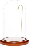 Plymor 4" x 7" Watch/Ornament Glass Display Dome