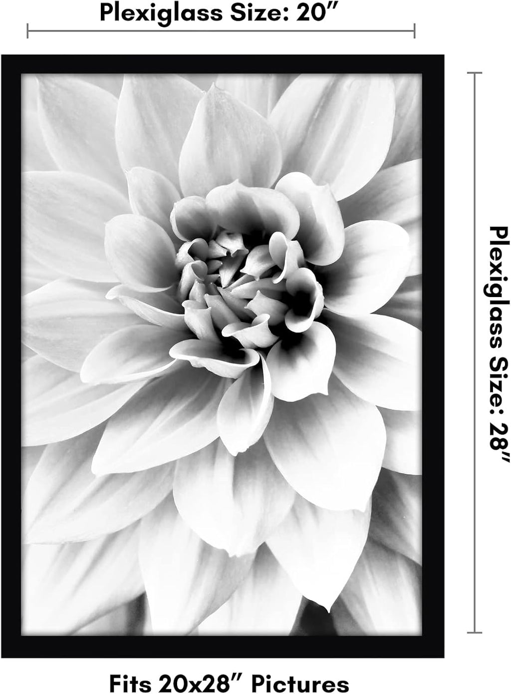 Americanflat 20x28 Picture Frame with Polished Plexiglass - Black Picture Frame - Wide Photo Frames Made of Engineered Wood for Vertical or Horizontal Wall Display - Epic Collection - Black