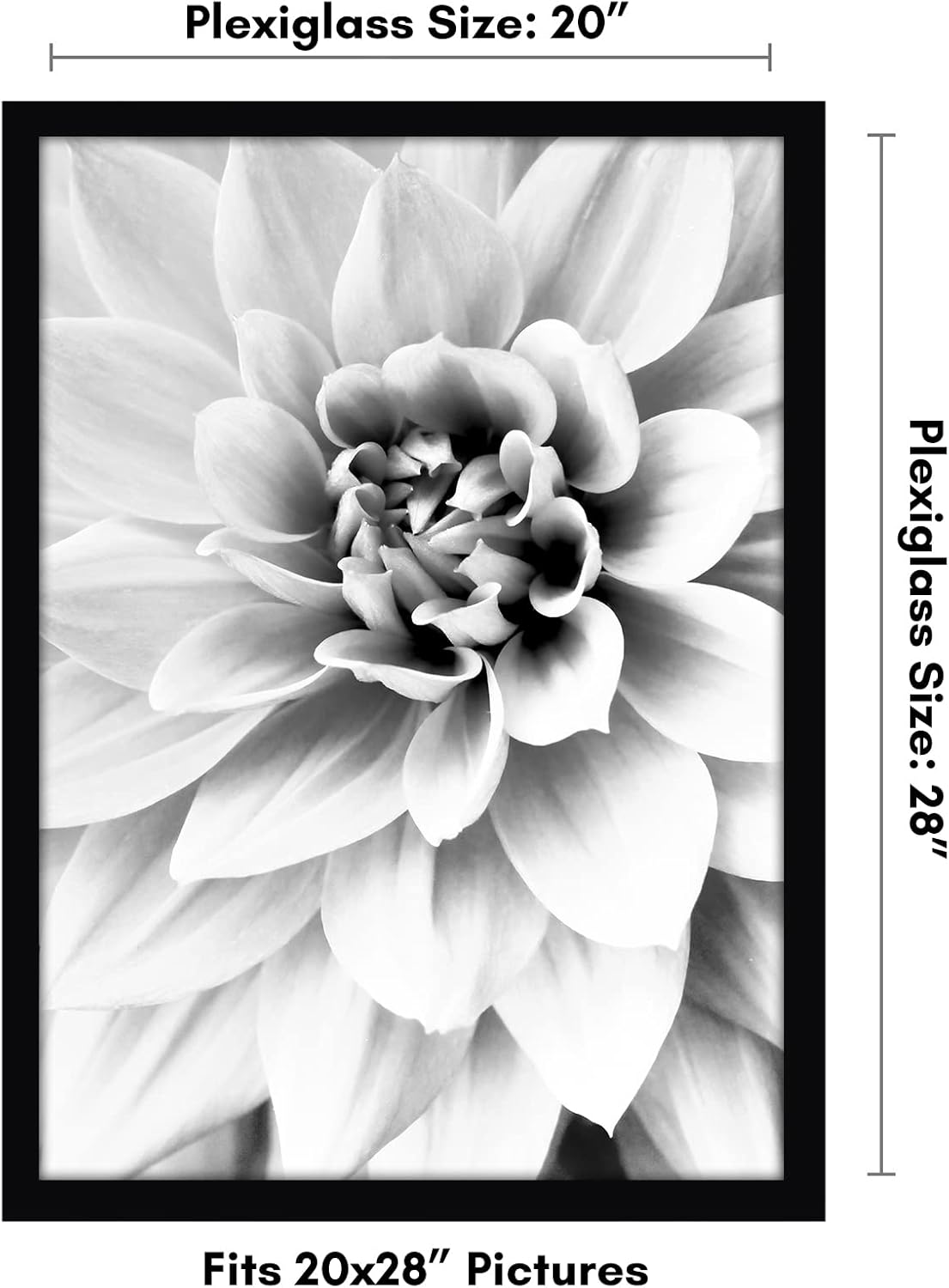Americanflat 20x28 Picture Frame with Polished Plexiglass - Black Picture Frame - Wide Photo Frames Made of Engineered Wood for Vertical or Horizontal Wall Display - Epic Collection - Black