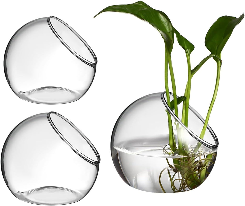 3 Pcs Glass Terrarium Bowls for Succulents and Air Plants Round Transparent Plant Containers for Home Office Desk Decoration Small Hydroponic Flower Vases