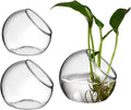 3 Pcs Glass Terrarium Bowls for Succulents and Air Plants Round Transparent Plant Containers for Home Office Desk Decoration Small Hydroponic Flower Vases