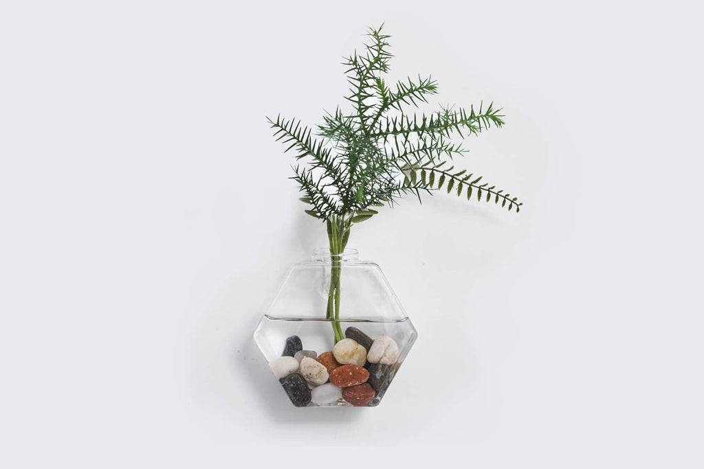 Glass Wall Planters 6PcsTerrarium Hanging Air Plant Holders Containers for Hydroponics Plants, Succulents, Herbs, Flowers (Hexagon)