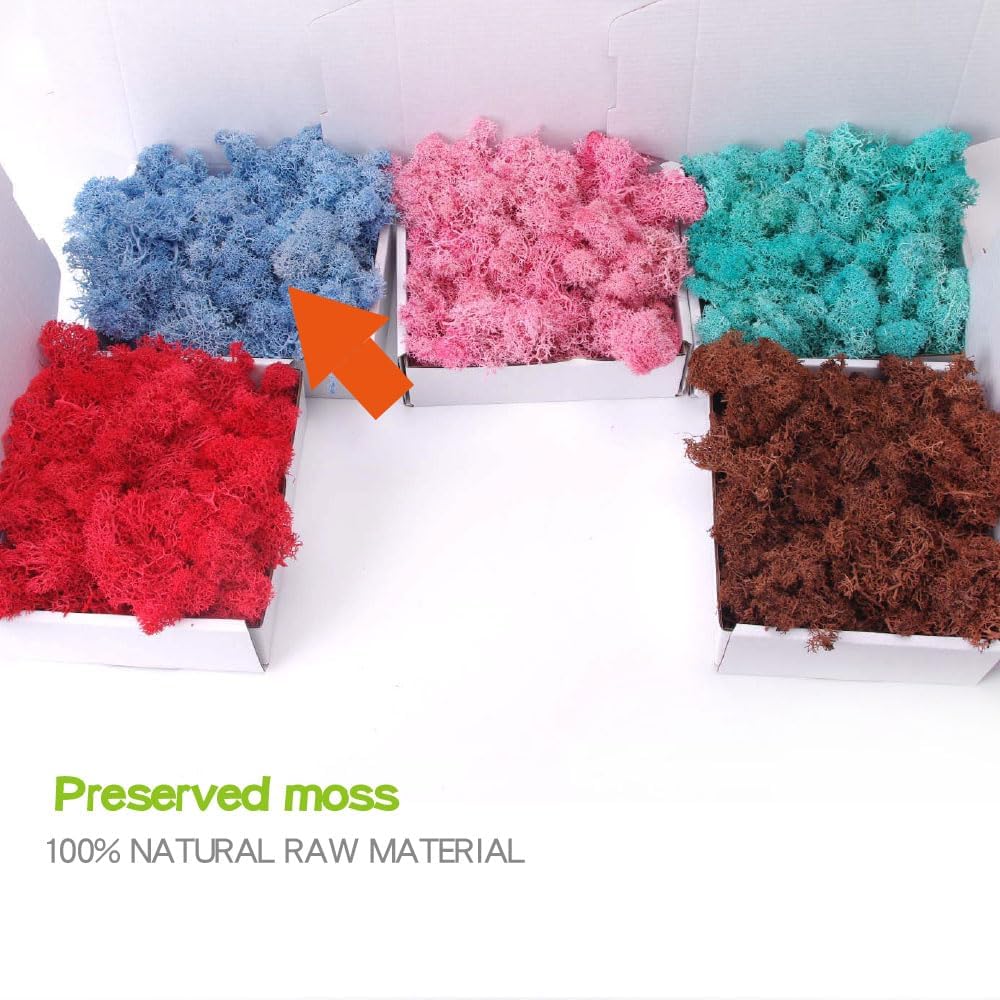 ACADOIT Preserved Moss-3.5 OZ Moss for Crafts Faux Moss Decor Natural Green Moss for Art Wall Florist Decor(Sky-Blue 3.5 OZ)