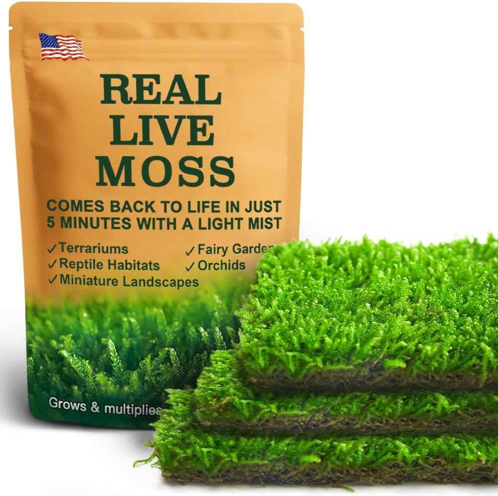 Live Moss – Hypnum Moss (3 Sheets, Each Approx. 3.5"x7") for Terrariums, Fairy Gardens, Bonsai & Natural Plant Decor – Naturally Grown, Reusable, Not Artificial