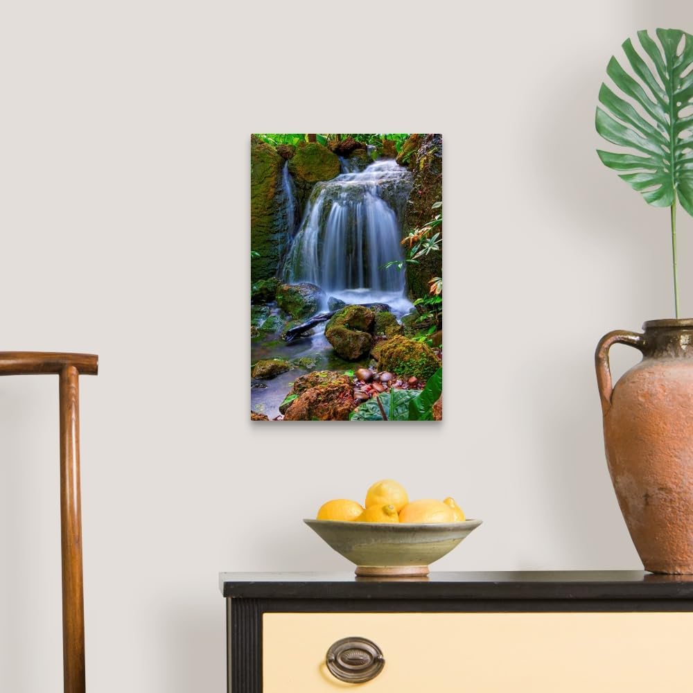 CANVAS ON DEMAND Waterfall in Tropical Rainforest of Fairchild Tropical Gardens, Canvas Wall Art Print, Home Decor, Floral, Flowers, Nature Artwork, 12" x18in