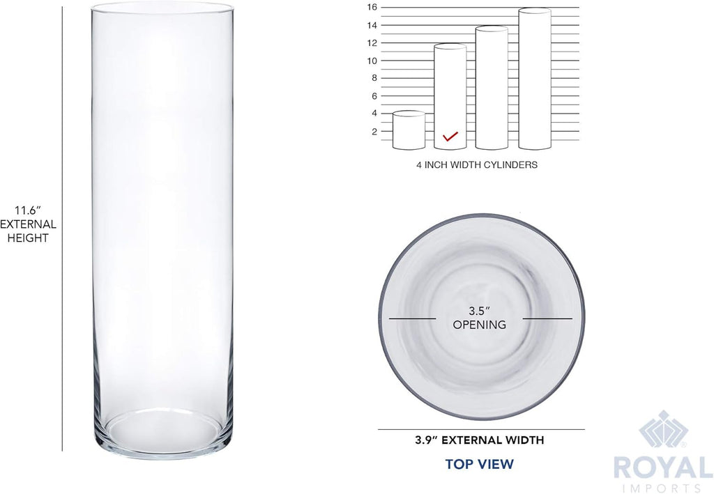 Royal Imports Flower Glass Vase Decorative Centerpiece for Home or Wedding - Cylinder Shape (4" wide x 12" tall, Clear)