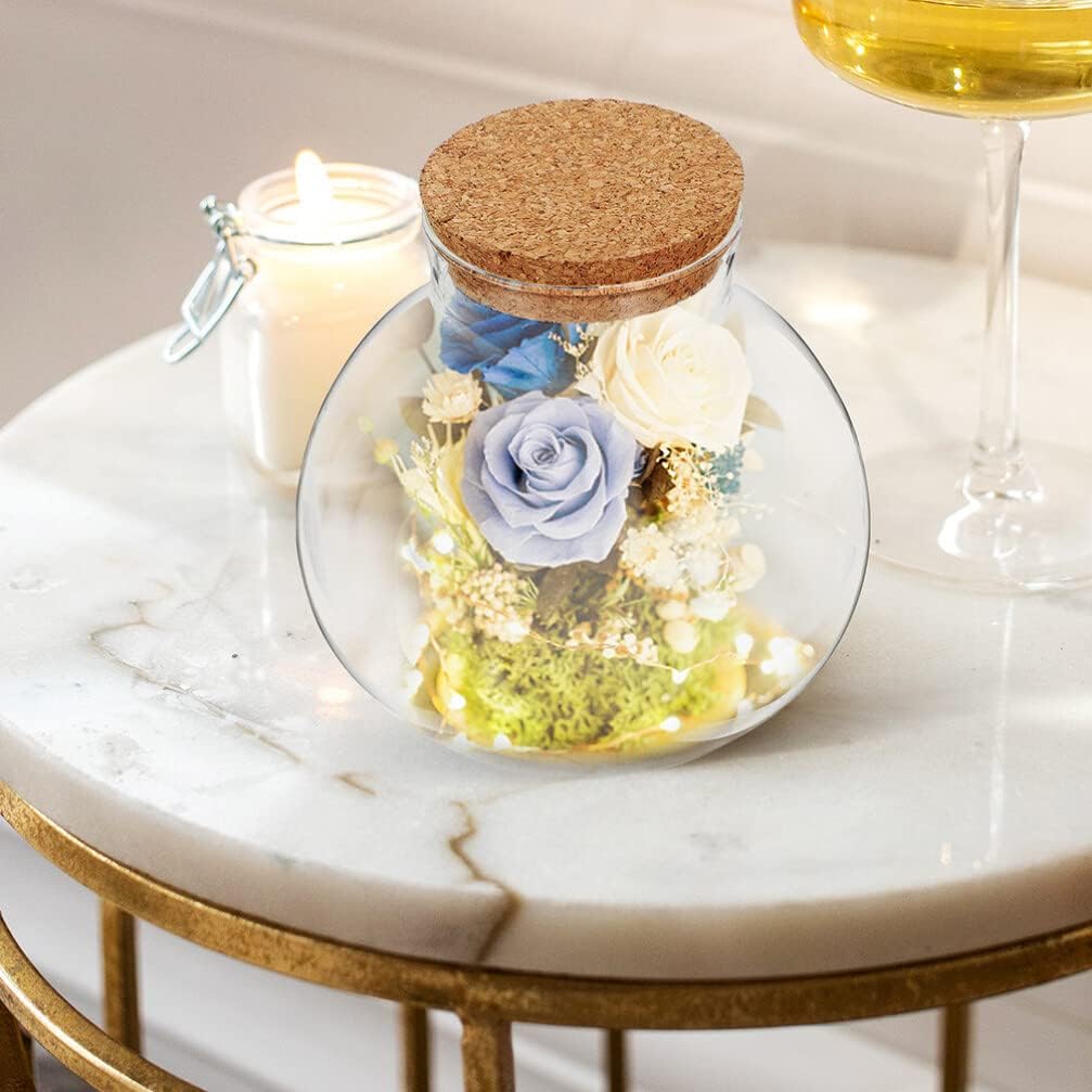 BESPORTBLE Round Glass Jars with Cork, Small Round Glass Dome Clear Cloche Globe Display Bell Jar Terrarium for Flower Dollhouse Mini Figure Collectible 2pcs 15cm