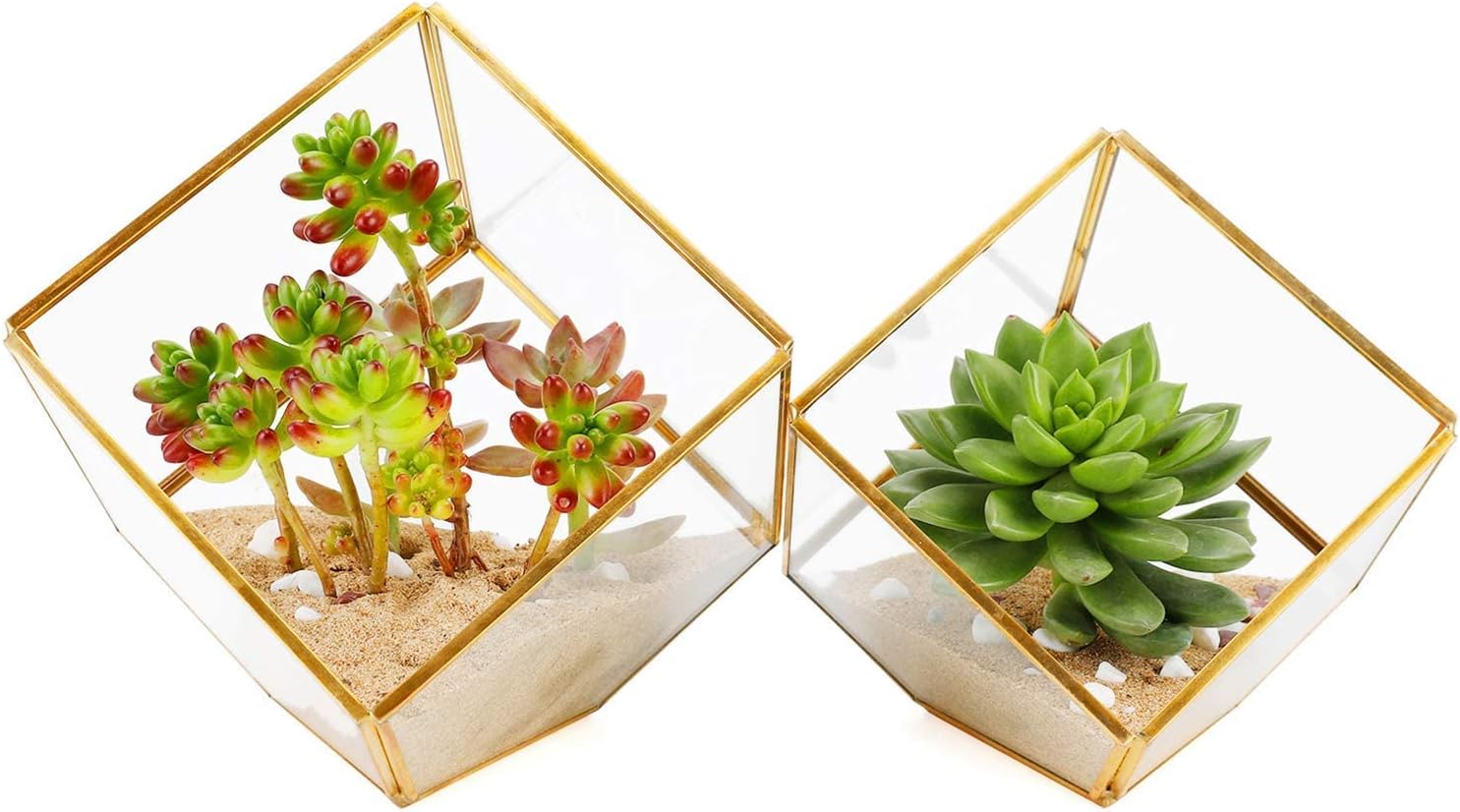 ELEGANTLIFE Glass Geometric Plant Terrarium,Succulent & Air Planter for Home Garden Office Decoration(Gold Cubic Set of 2)