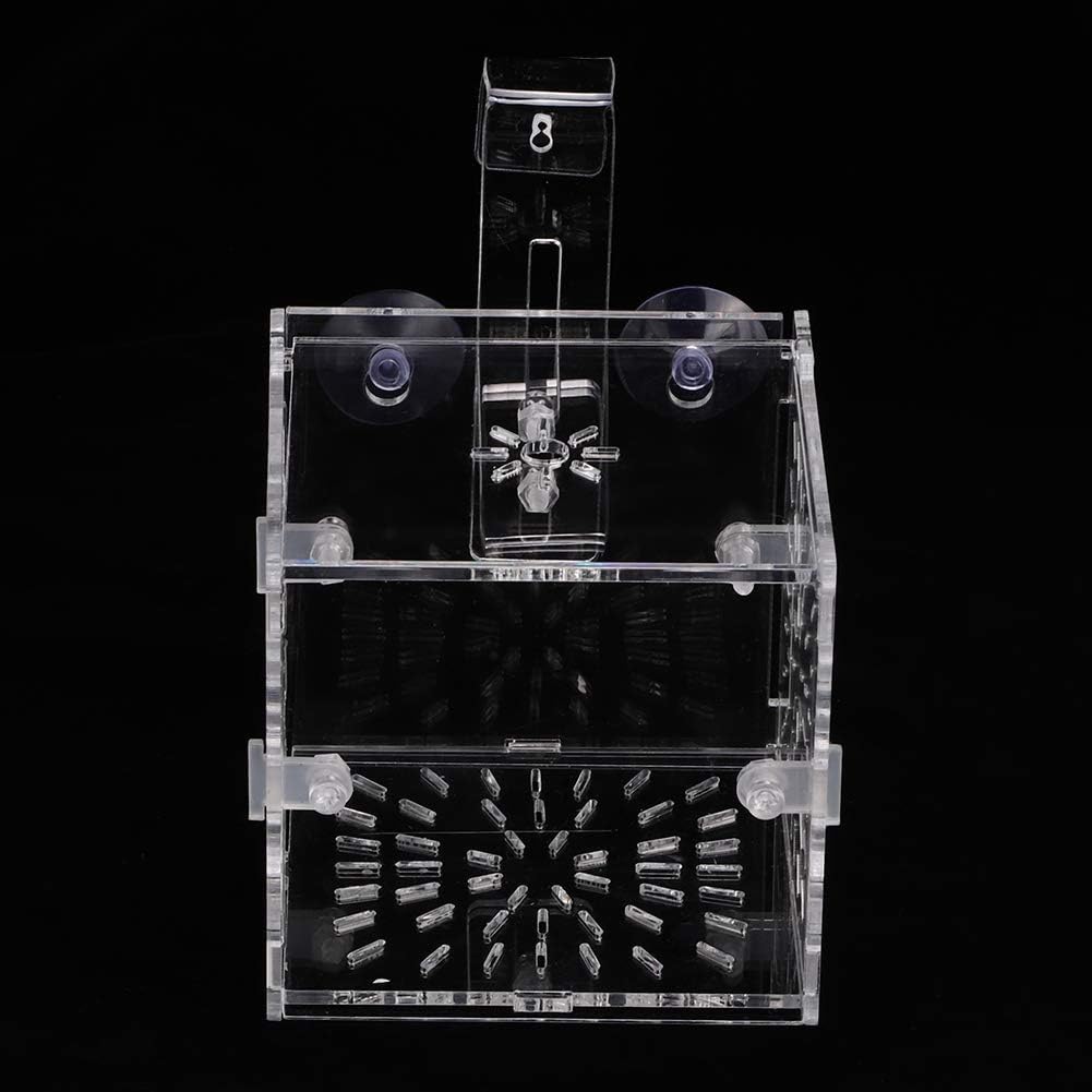 GLOGLOW Aquarium Breeding Isolation Box, Transparent Acrylic Fish Isolation Box Fish Separator with Suction Cups for Small Baby Fishes Shrimp Clownfish Guppy(10CM*10CM*10CM)