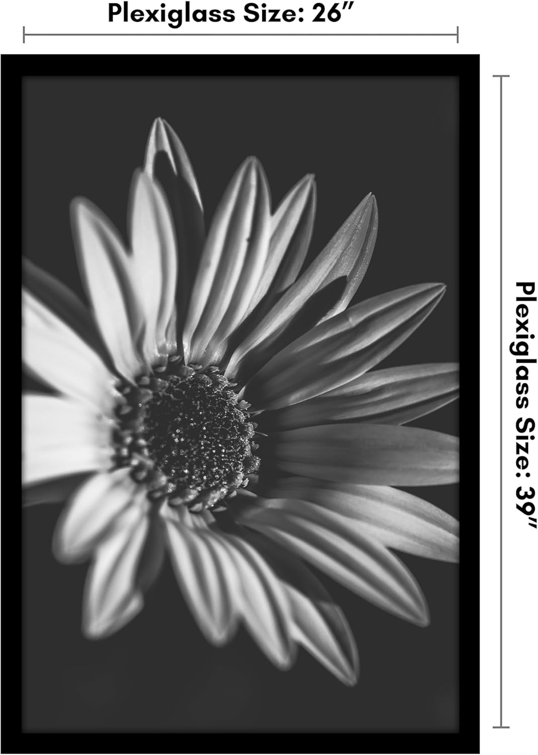 Americanflat 26x39 Poster Frame with Polished Plexiglass - Black Picture Frame - Wide Photo Frames Made of Engineered Wood for Vertical or Horizontal Wall Display - Epic Collection - Black