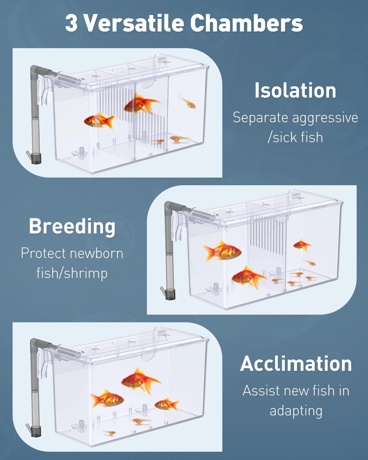 Pawfly Aquarium Breeding Box Fish Tank Hatchery Incubator Acrylic Breeder Box for Aggressive Fish Guppy