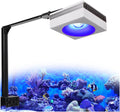 PopBloom RL90 WiFi Reef LED Light, 100W Reef Aquarium Lighting for SPS LPS Corals and Saltwater Fish Tanks, Enhanced Violet and Blue Spectrum,APP Fully Programmable (1 Light with Mount Arm kit)