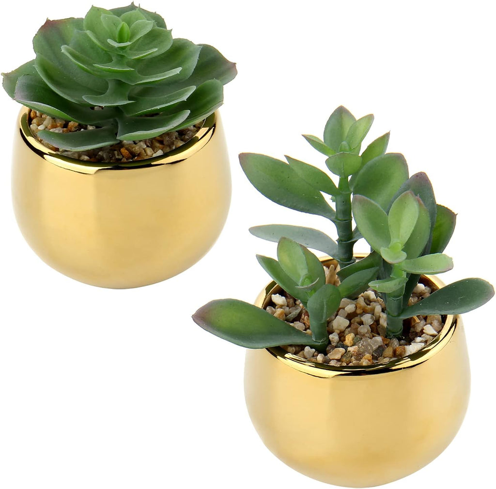 Briful Small Artificial Succulents in Pots Set of 2 Realistic Faux Succulents Plants with Gold Ceramic Pots Cute Mini Fake Plants Decor for Modern Home Table Office Desk Bathroom Shelf Decoration