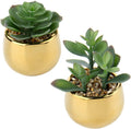 Briful Small Artificial Succulents in Pots Set of 2 Realistic Faux Succulents Plants with Gold Ceramic Pots Cute Mini Fake Plants Decor for Modern Home Table Office Desk Bathroom Shelf Decoration
