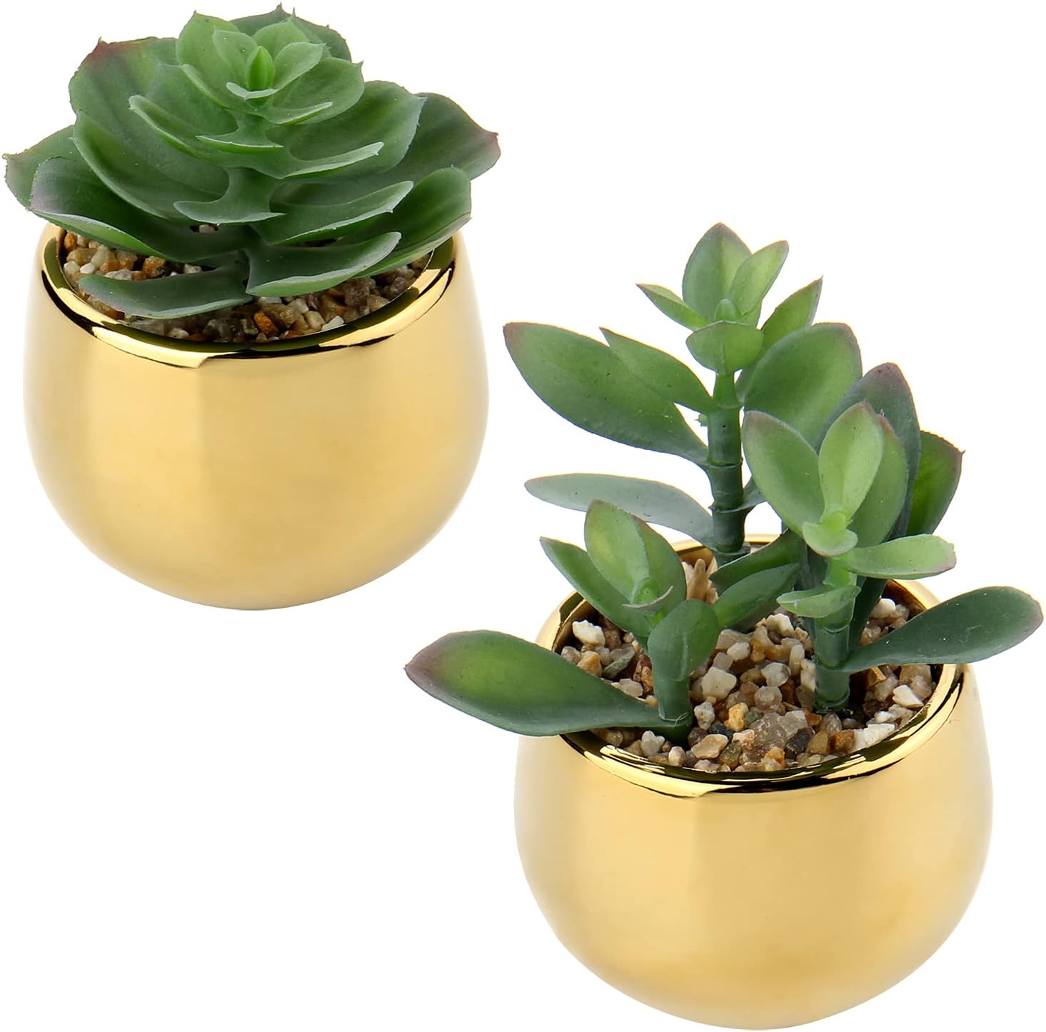 Briful Small Artificial Succulents in Pots Set of 2 Realistic Faux Succulents Plants with Gold Ceramic Pots Cute Mini Fake Plants Decor for Modern Home Table Office Desk Bathroom Shelf Decoration