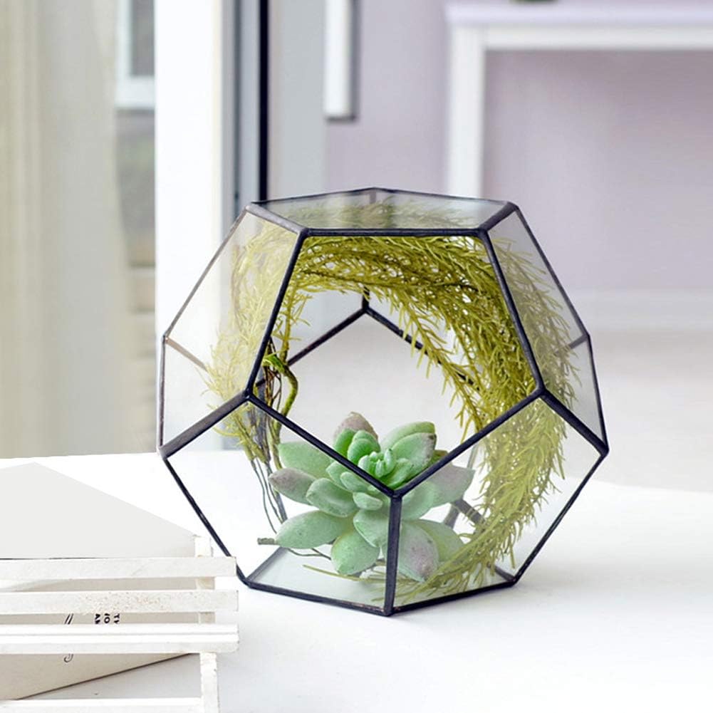 Black Geometric Glass Terrarium Planter Pentagon Flower Pot Glass Terrarium Container for Succulents Fern Air Plants Mini Tabletop Decor Centerpiece